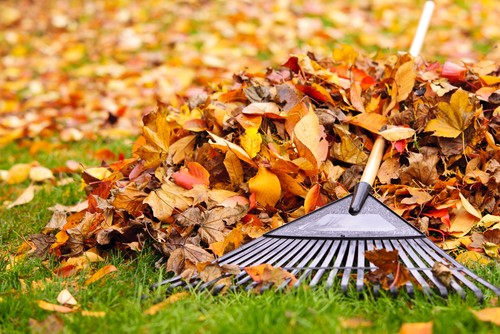 Hatfield Borough Leaf Collection